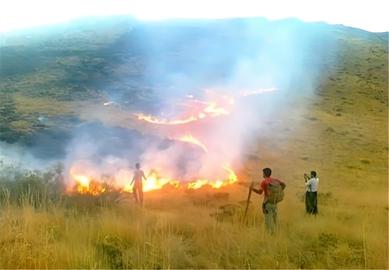 ۱۰۰ هکتار از مراتع اسدآباد در آتش سوخت