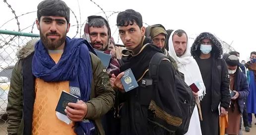 افغان‌ستیزی، مهاجران افغان