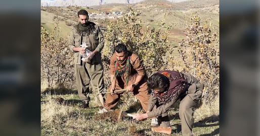 On November 22, the Green Chia Association - pioneers in environmental protection and campaign founders - chose a particularly poignant location for this year's ceremonial planting