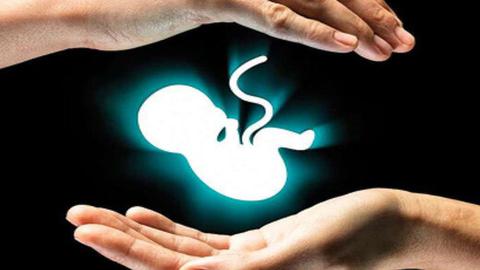 آخرین روز خرداد ۱۴۰۱، یک مقام وزارت بهداشت، درمان و آموزش پزشکی ایران از تعیین جرایم سنگین برای مباشرت یا معاونت در سقط جنین خبر دا