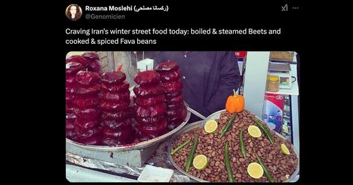 رکسانا مصلحی، ایرانیان مهاجر، دانشمند ایرانی،