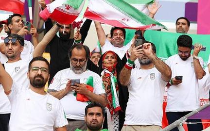 وزارت ارشاد دولت جمهوری اسلامی و سازمان بسیج کشور، هزینه‌های اعزام، اسکان، رفت و آمد درون شهری، خورد و خوراک و حق ماموریت بیش از ۳۵۰ تماشاگرنمای حکومتی به رقابت‌های جام جهانی را تقبل کرده بودند