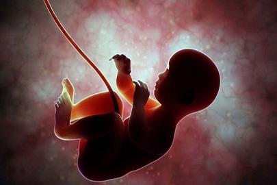 محمدرضا محبوب‌فر،  عضو انجمن علمی آموزش بهداشت و ارتقای سلامت ایران: «کشورهای اطراف از جمله ترکیه و کشورهای اروپایی و کشورهای منطقه آسیایی مقصد زنان ایرانی نیازمند سقط جنین شده است.»