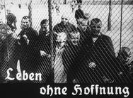 بیشتر قربانیان «پروژه اتانازی» نازی‌ها آلمانی‌های غیریهودی بودند