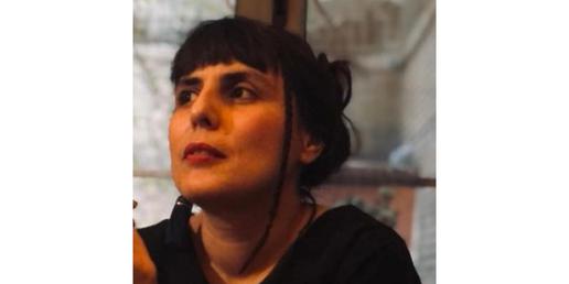 مینا کشاورز، مستند ساز بازداشت شده