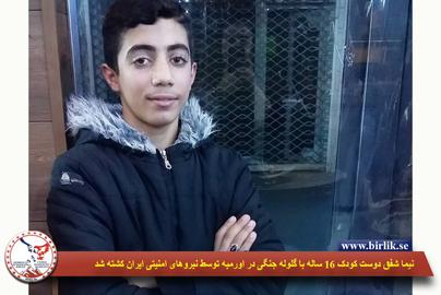 فرمانده انتظامی ارومیه:‌ نیما شفیق دوست به دلیل گاز گرفتگی سگ درگذشت