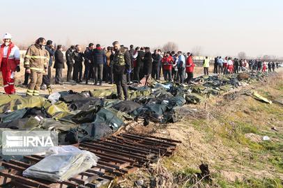 ستاد کل نیروهای مسلح صبح روز شنبه طی بیانیه‌ای اعلام کرد که «بر اثر بروز خطای انسانی و به صورت غیر عمد، هواپیمای مسافربری اوکراینی مورد اصابت قرار گرفته است.»