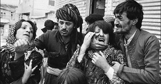 در وبینار، کارشناسان موزه یادبود هولوکاست به ما گفتند یکی از مهم‌ترین جنبه‌های دادگاه‌های نورنبرگ، تصمیم دادستانی مبنی بر استناد، در درجه اول به اظهارات و اعترافات نازی‌ها بود