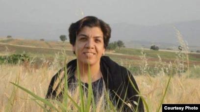 پروین محمدی سال‌ها به عنوان یکی از زنان کنش‌گر حوزه کارگران فعالیت کرده و به همین سبب بارها بازجویی و بازداشت شده است.