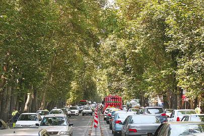 درختان خیابانی که ثبت ملی شده است و قرار است به عنوان یکی از ویژگی های هویتی پایتخت ایران به ثبت جهانی برسد، ناگهان خشک شده‌اند بدون اینکه از انبوه مدیران یکی متوجه این موضوع شده باشد.