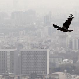 آلودگی هوا؛ تهران و البرز روز دوشنبه تعطیل اعلام شدند