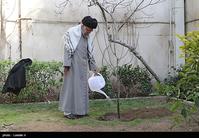 درخت‌کاری سران جمهوری اسلامی و نگاه خطرناک آن‌ها به طبیعت