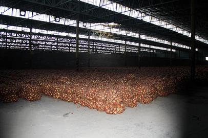 A factory belonging to Azmayesh, a manufacturer of home appliances that was confiscated after the 1979 Islamic Revolution, was used as an onion warehouse after the company went out of business