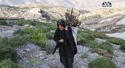 A Bakhtiari nomad carrying firewood in the mountains on June 2, 2020. The Bakhtiari tribe primarily inhabits Chaharmahal and Bakhtiari, Khuzestan, Lorestan and Isfahan provinces. Its members migrate twice a year with their herds to find new pastures.