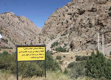 تنگ صیاد به دلایل مختلف از جمله شکارهای پیاپی، خشکسالی و تنش‌های آب‌وهوایی تاکنون بیش از ۶۰ درصد گونه‌های سم‌داری که در این منطقه زیست می‌کردند از دست داده است و حالا خطر بیشتری گونه‌های نایاب این منطقه را تهدید می‌کند.