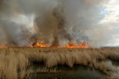 Fire Erupts at Iran’s Shadegan International Wetland