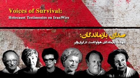 Voices of Survival: Holocaust Testimonies