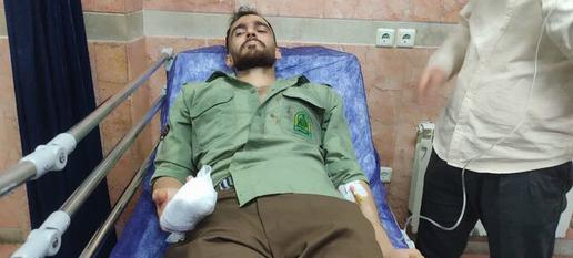 مامور منابع طبیعی در پی درگیری با متخلف محیط‌زیستی قطع عضو شد