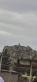 Snipers were deployed on a hill overlooking Zahedan’s Makki Mosque, Iran’s largest Sunni mosque