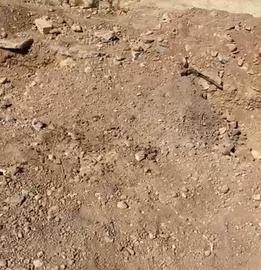 دفن مخفیانه پیکر رضا حقیقت‌نژاد توسط سپاه پاسداران