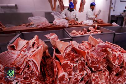 سرانه مصرف روزانه گوشت در ایران به هشت گرم رسید