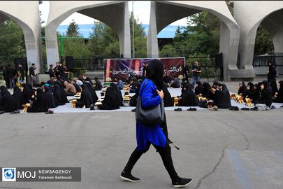 مهاجرت ۲۵ درصد اساتید دانشگاه از ایران