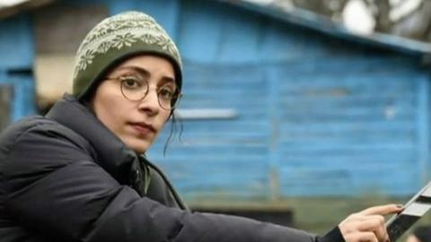 «سمیه میرشمسی»، دستیار کارگردان،‌ فعال صنفی و عضو هیات پنج نفره «رسیدگی به خشونت علیه زنان در سینمای ایران» در حساب کاربری خود در شبکه اجتماعی توییتر از تهدید هنرمندان حامی ترانه علیدوستی خبر داده بود.