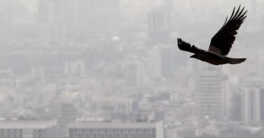 Offices and schools were closed in Tehran and Alborz provinces on Monday due to the choked air