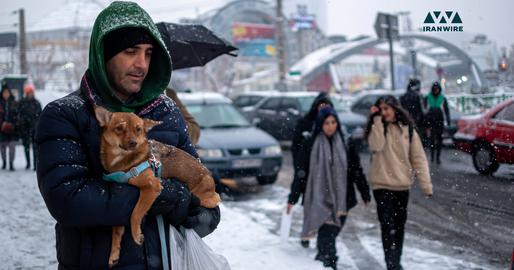 جوانان به همراه حیوانات خانگی در یک روز برفی در تهران. عکس از ایران‌وایر