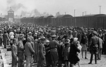 At a recent webinar hosted by IranWire and USHMM, participants reflected on what it took for the Nazis to enact the so-called 'Final Solution'