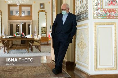 Alireza Akbari was opposed to Mohammad Javad Zarif and his nuclear deal politics