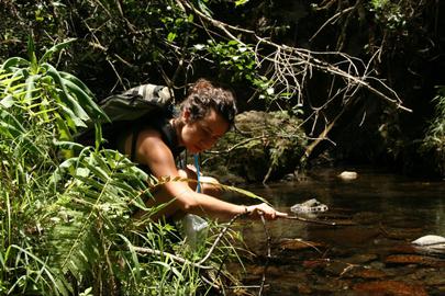 In July, Niloofar Bayani – an environmental activist who has been incarcerated since 2017 by Islamic Revolutionary Guard Corps (IRGC) along with other environmental and wildlife activists – conducted a research project while behind bars