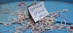 بیانیه ۲۳۵ فعال صنفی و مدنی: زن، زندگی، آزادی، پایان احکام اعدام
