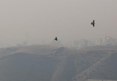 تهران در رقابت با پکن، پایتخت چین که جمعیتی در حدود سه برابر جمعیت تهران دارد، برنده و تبدیل به آلوده‌ترین شهر جهان شد.