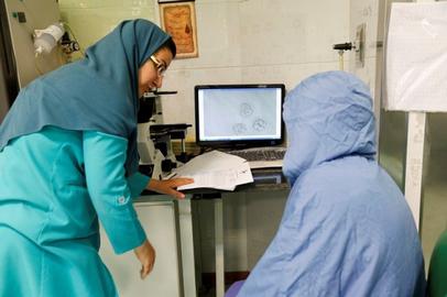 Digital Registry of Pregnant Women in Iran Enters Test Phase