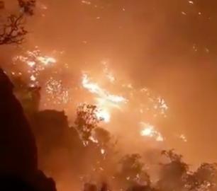 آتش‌سوزی دوباره جنگل‌های گچساران