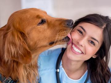 به تازگی تحقیقی که در نشریه علمی «پلوس وان» منتشر شده است، می‌گوید افرادی که سگ دارند، در دوران پاندمی کرونا کمتر افسرده شده‌اند و حال جسمی و روحی‌ آن‌ها هم بهتر بوده است.
