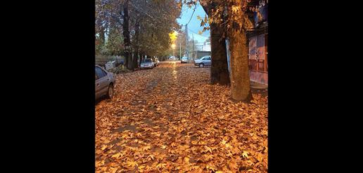 An Almighty Autumn in Ilam
