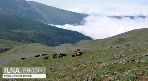 Gilan From Above the Clouds