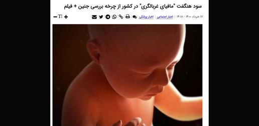 یکی از آخرین گزارش‌های خبرگزاری تسنیم در «پروژه ترویجی فرزندآوری» است که مدتها است در پاسخ به تاکیدهای مکرر رهبر جمهوری اسلامی مبنی بر ضرورت افزایش جمعیت، شروع شده است.