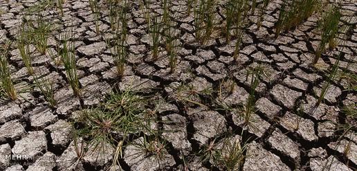 هفت میلیون روستایی بی‌آب، شهرنشینان در انتظار