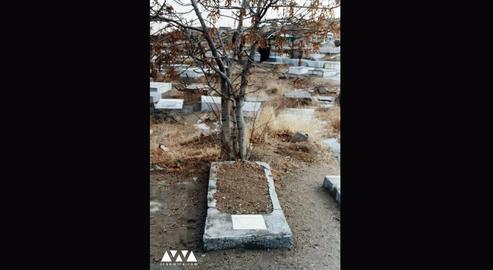 A tree planted by his father is the only marker on Nasser Sobhani's final resting place