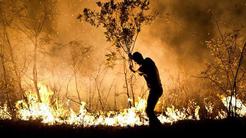 ۴ هزار هکتار از جنگل‌های گچساران در آتش‌سوزی از بین رفت