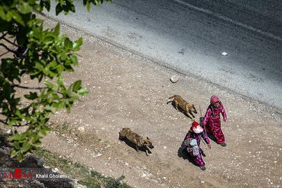 Women's Lives in Rural Iran