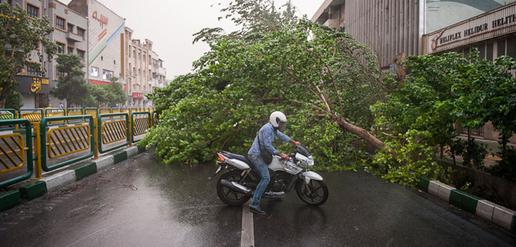 Tehran Storm Leaves Four Dead and More Than 50 Injured