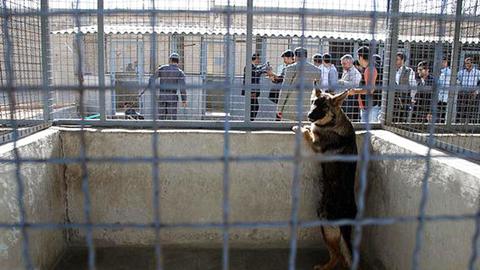 Shiraz Prisoners Tell the Story of a Riot for their Rights