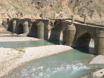رودخانه دالکی اسیدی شد/ نخلستان‌هاي دشتستان در خطرند