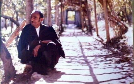 امیری فیروزکوهی از کسانی بود که خامنه‌ای او را شاعر و شعرشناس می‌دانست و نظر او برای خامنه‌ای مهم بود.