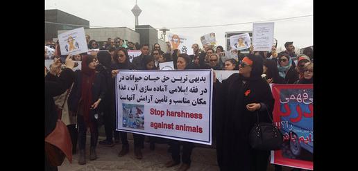 Speaking out Against Animal Cruelty