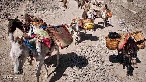 قاچاق روزانه بیش از ۷ میلیون لیتر سوخت از مرز سیستان و بلوچستان